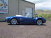 Bluecobra008.jpg (84627 bytes)